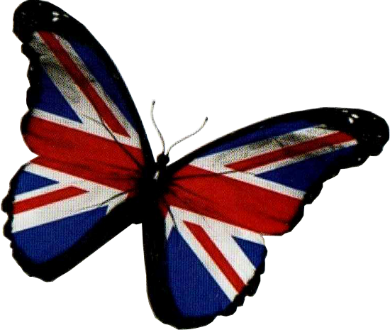 A butterfly with a Flag of Great Britain